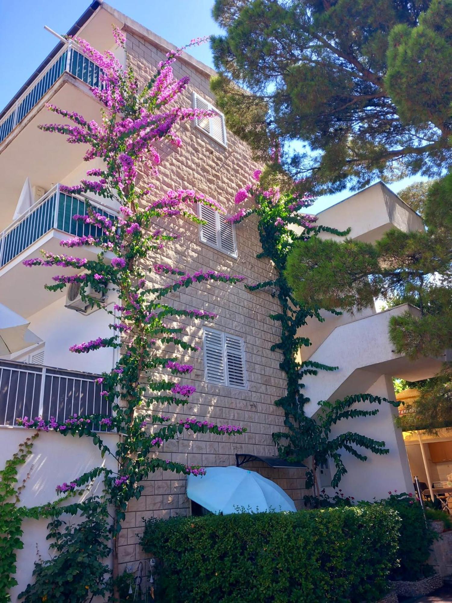 Apartmani Omrcen Башка-Вода Экстерьер фото